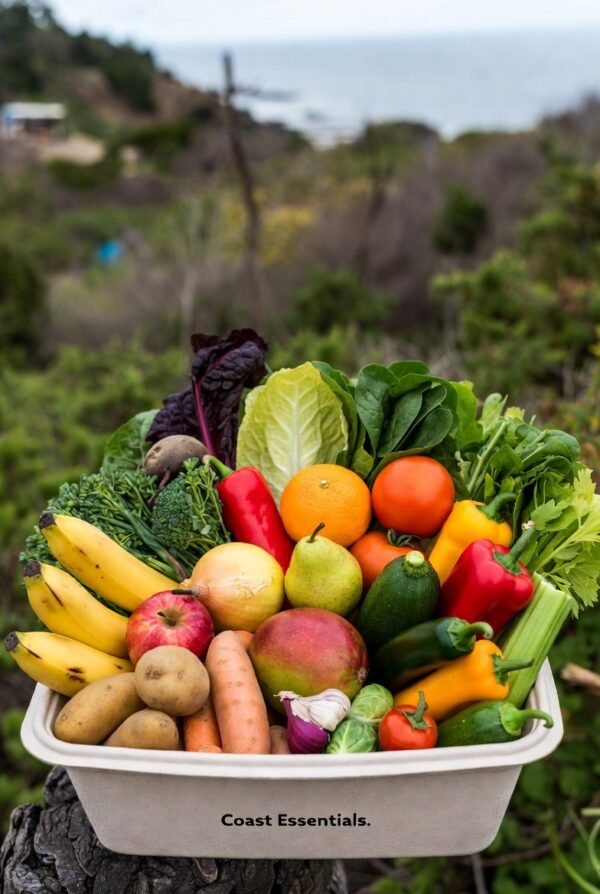 Easy Meals for the Week — Coast Essentials Bin (25–30 lbs) - Image 2