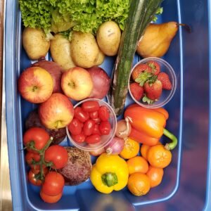 Easy Meals for the Week — Everyday Bin (1–2 People)