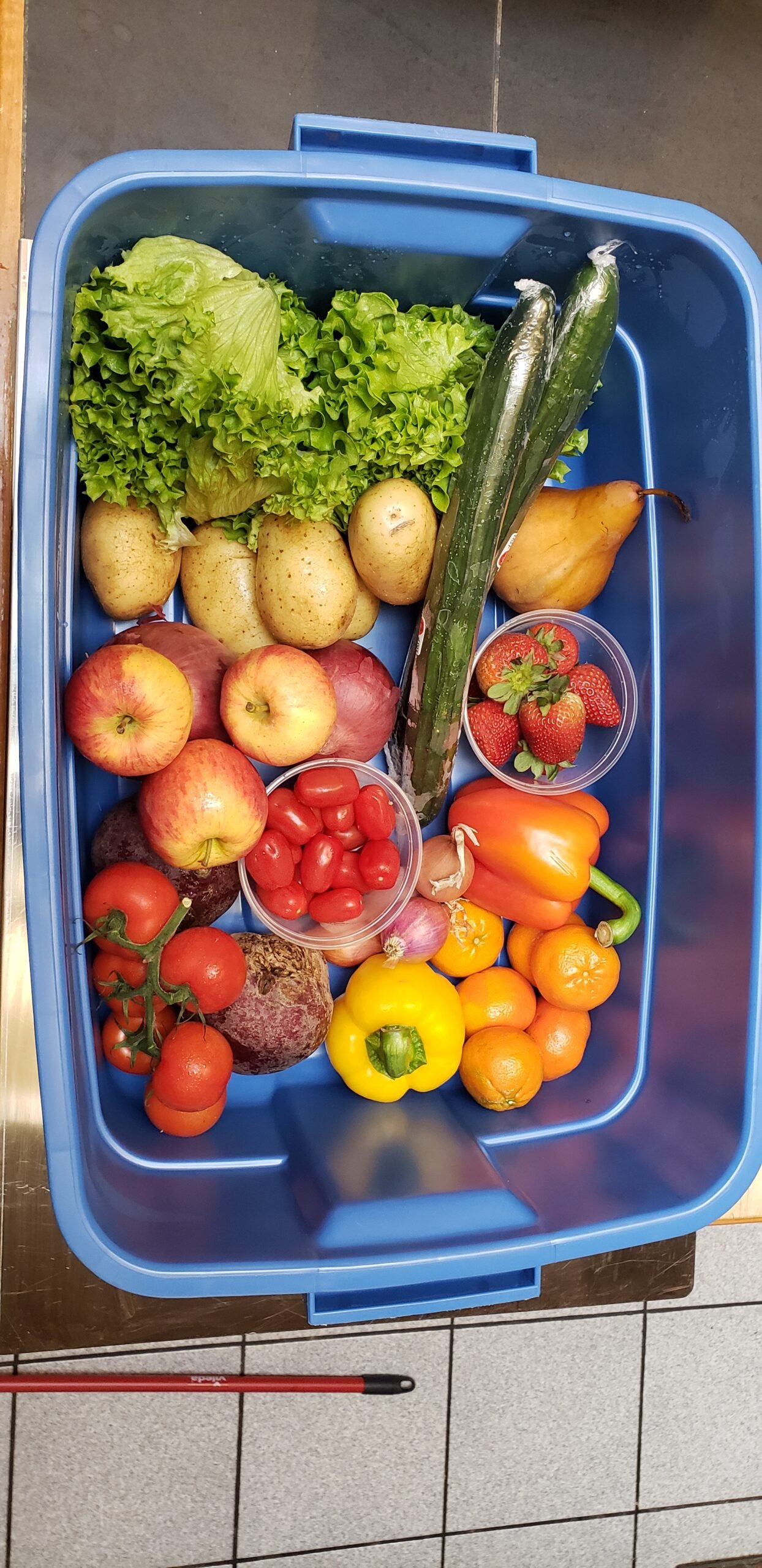Easy Meals for the Week — Everyday Bin (1–2 People)